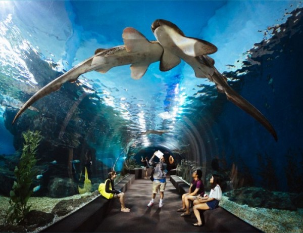 HÀ NỘI - NHA TRANG TEAMBUILDING - SUỐI KHOÁNG THÁP BÀ