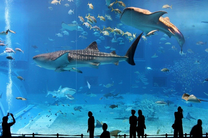 HÀ NỘI - NHA TRANG TEAMBUILDING - SUỐI KHOÁNG THÁP BÀ